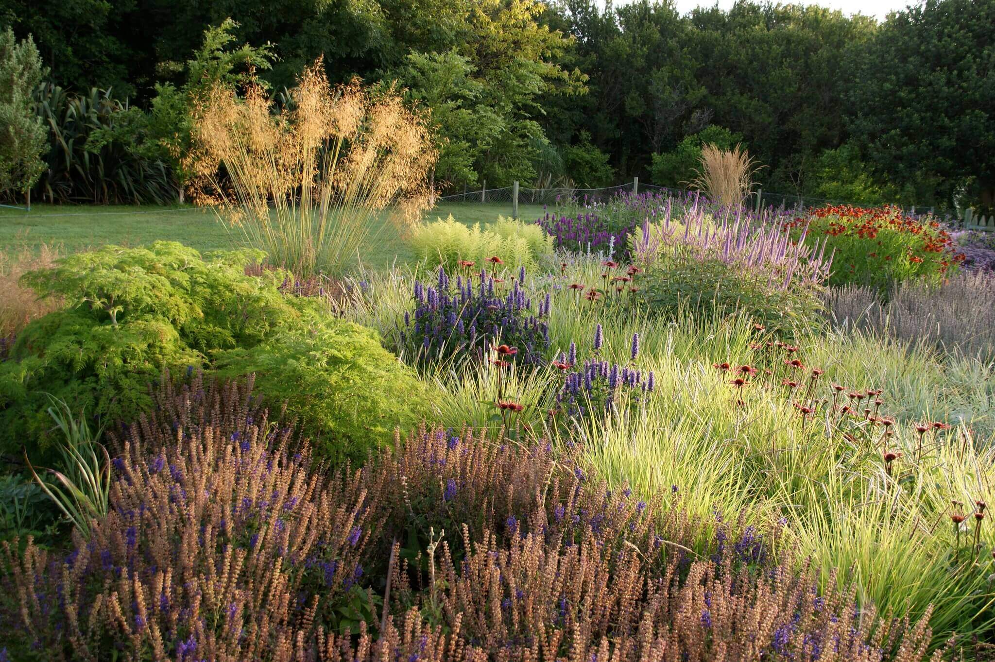 Why are native plants best for landscapes? Image 05