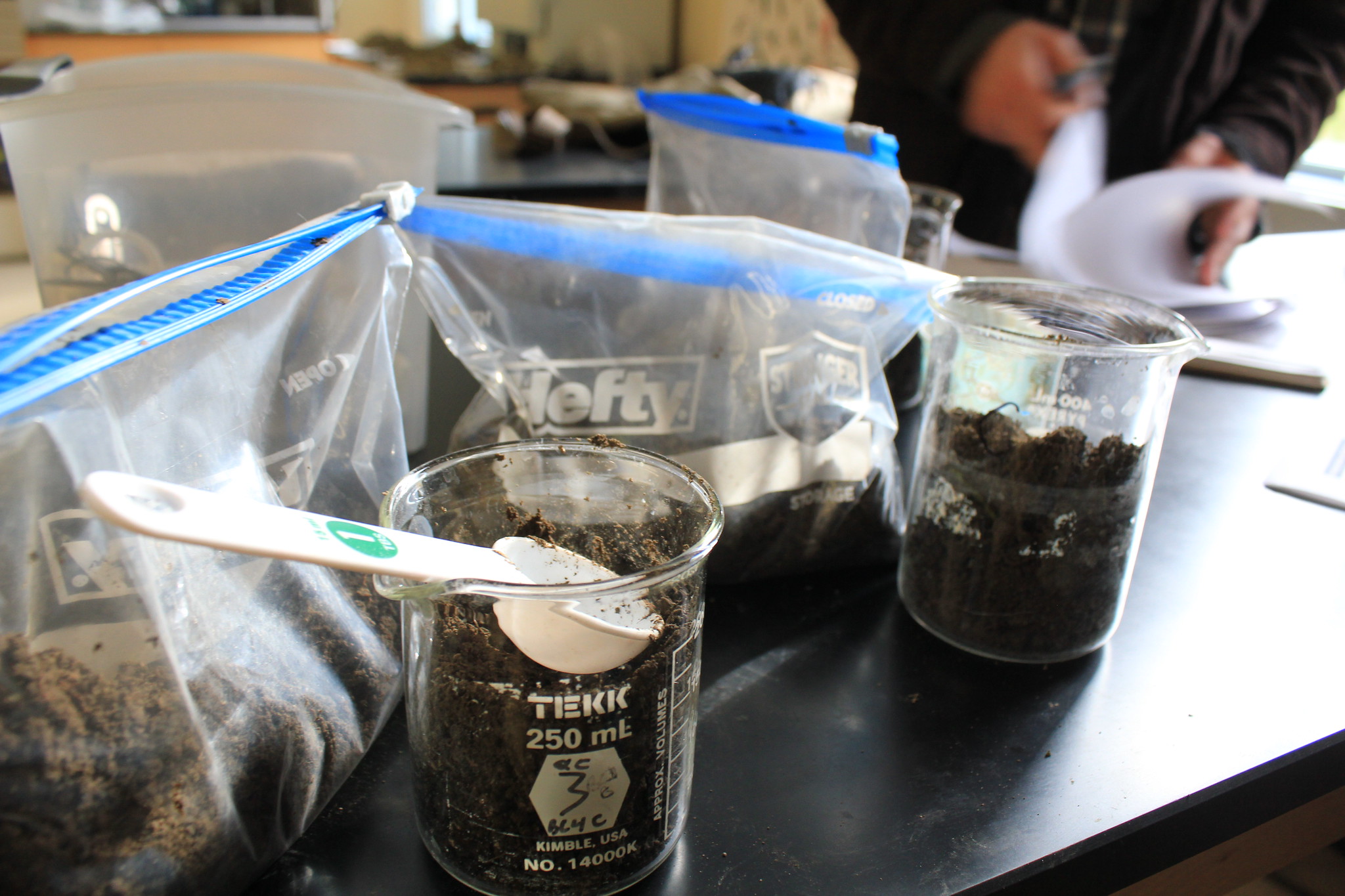 Image of soil samples in plastic bags ready to be tested.