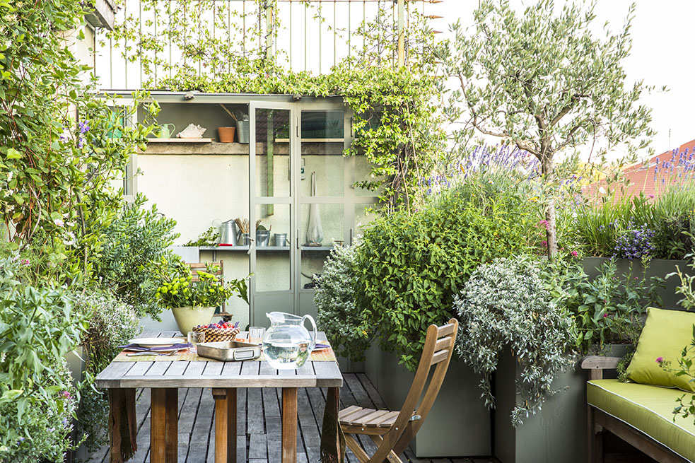 Green roof terrace with a lush garden, greenhouse and a sitting table.