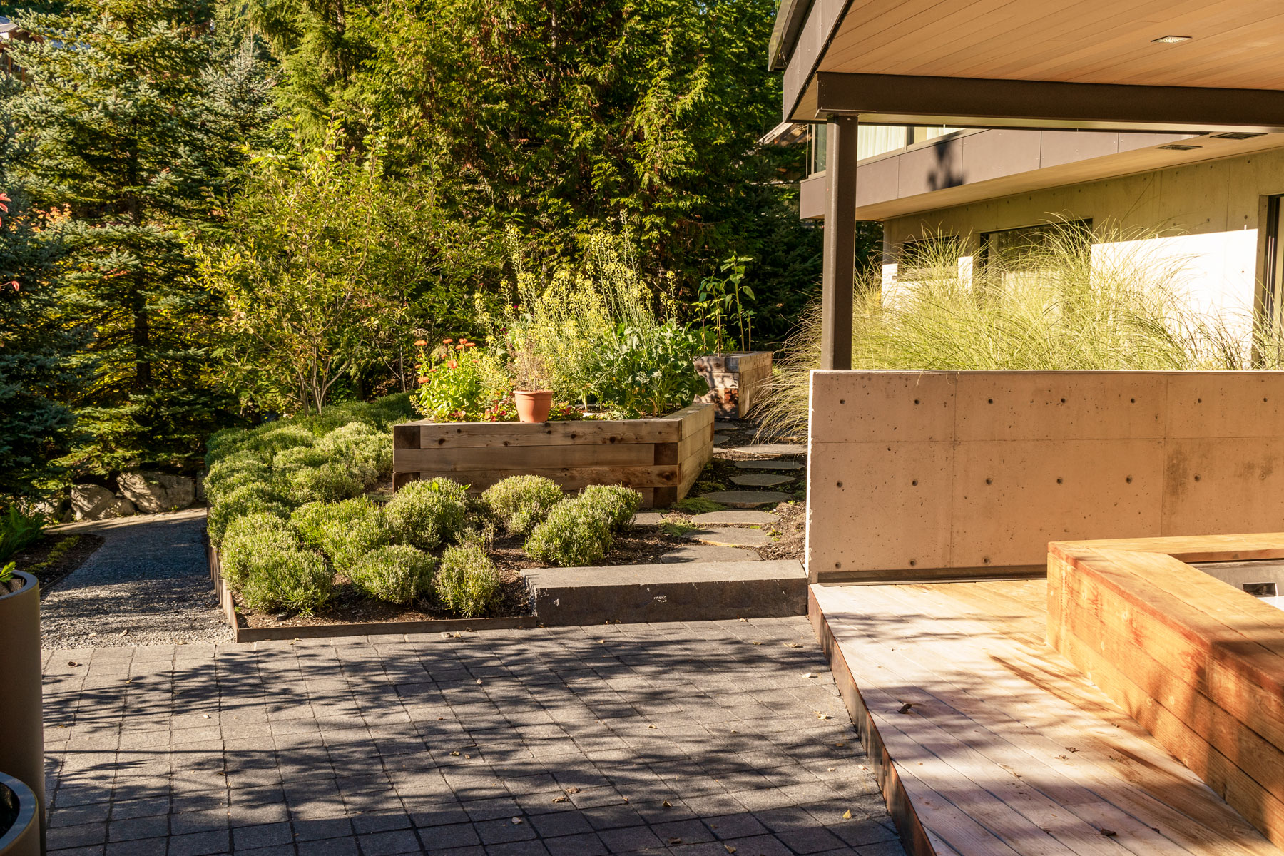 Front yard with no lawn, but only plantings and a walkway leading to entrance of home in Whistler, BC by Considered Design