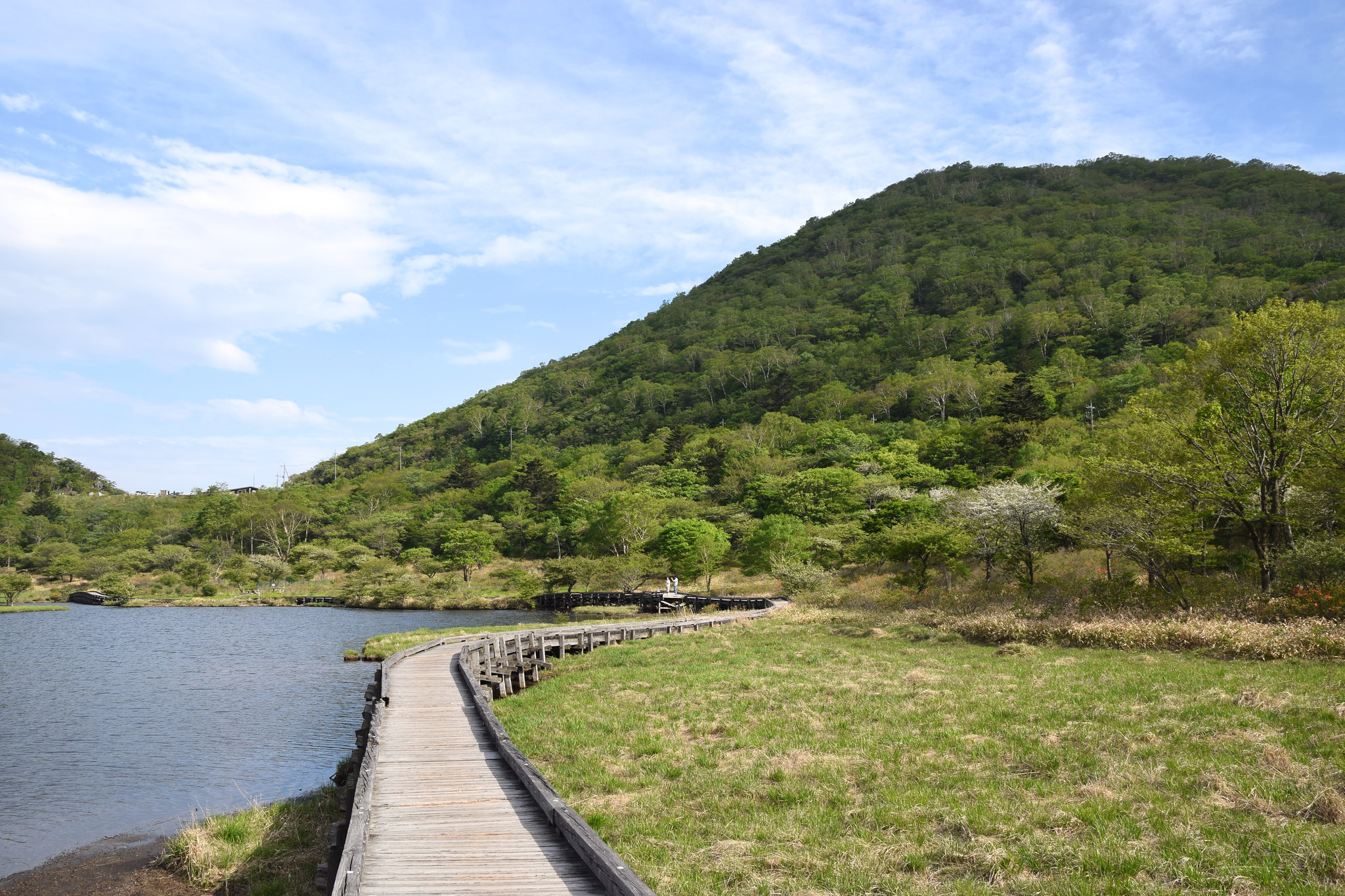 Image of a natural park with examples of permeable surfaces such as a wood boardwalk.