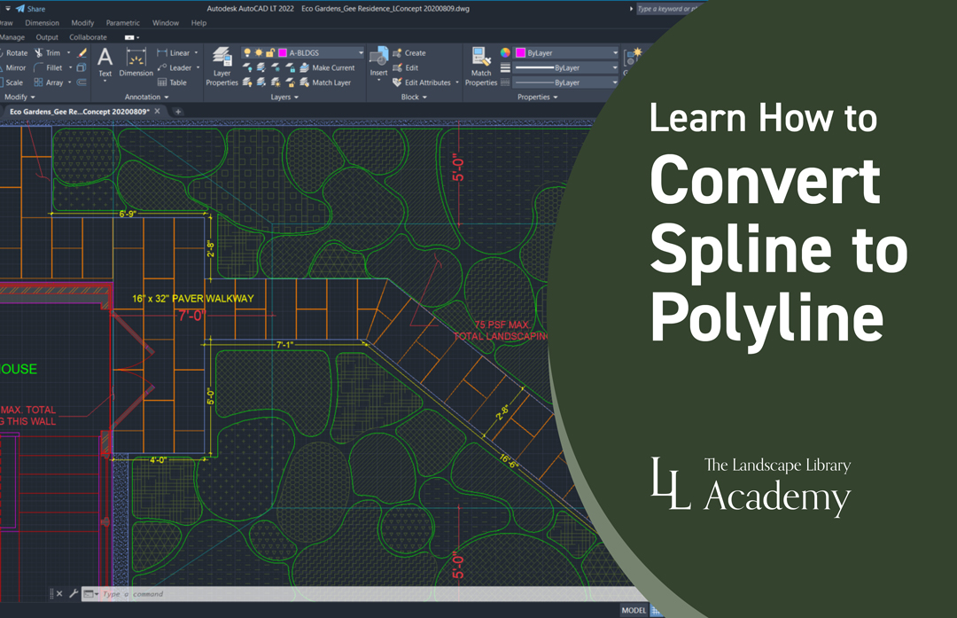 Lesson 20: Learn How to Convert Spline to Polyline