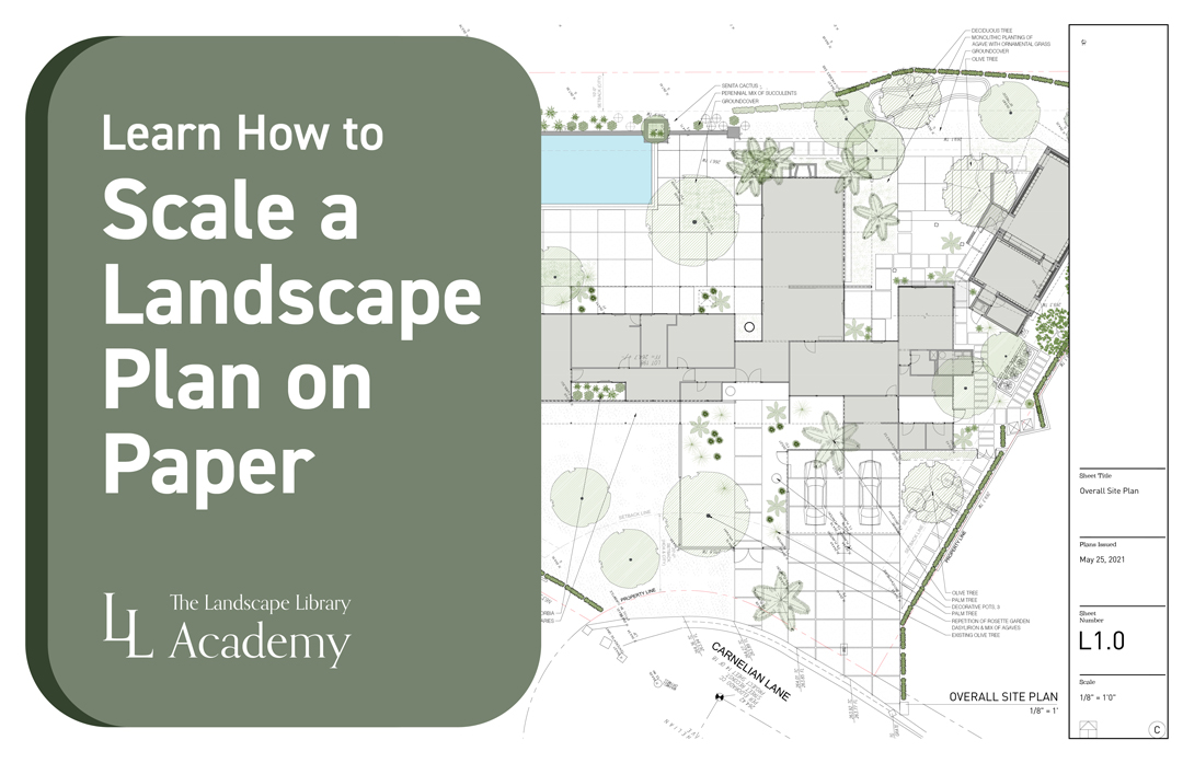 Lesson 23: Learn How to Scale a Landscape Plan on Paper