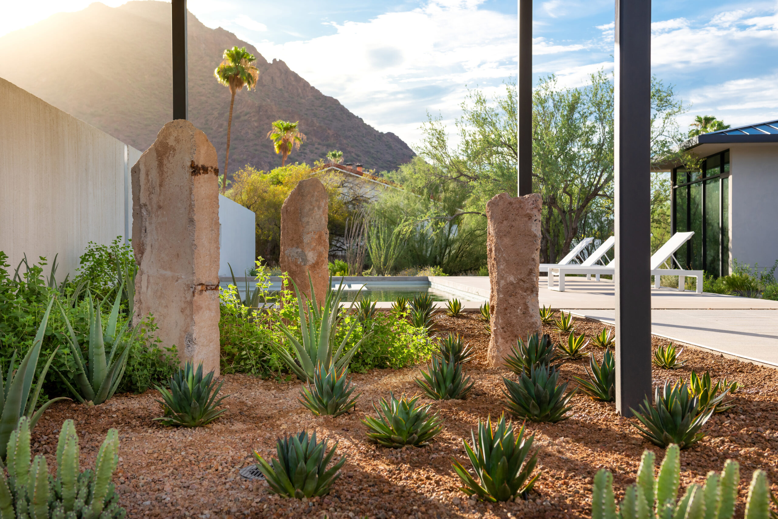 Trueform landscape architects place drought-tolerant plants within gravel landscape.
