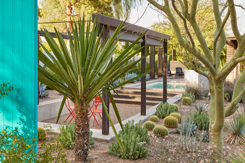 TRUEFORM Landscape Architects include native desert plants near weathered metal pergola.