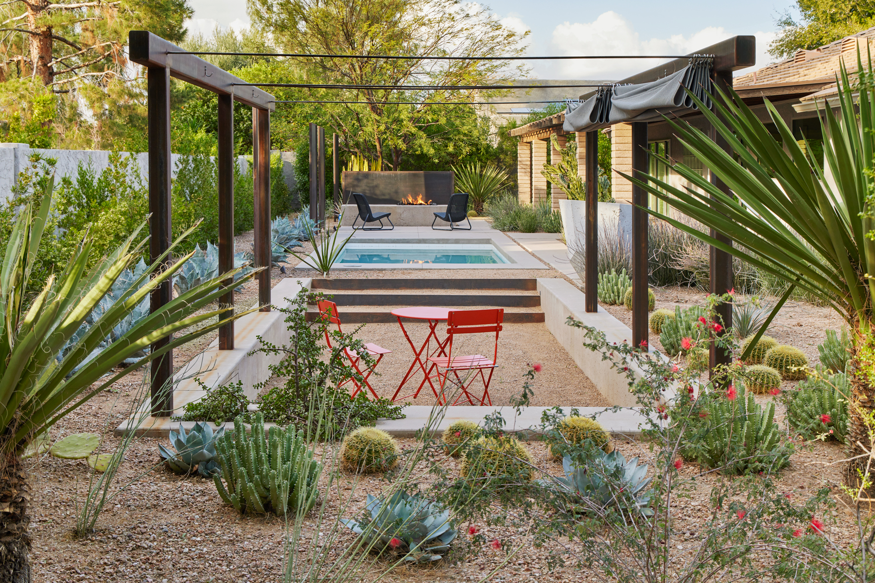 TRUEFORM creates backyard with native desert plants around in ground swimming pool.