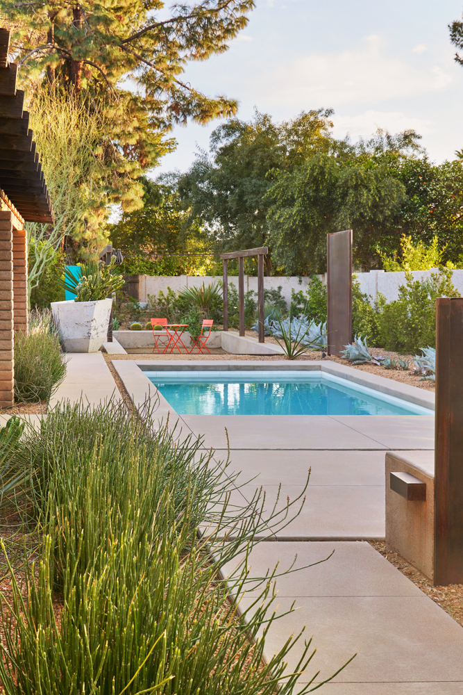 TRUEFORM Landscape Architects include native desert plants around firepit and sunken pool.