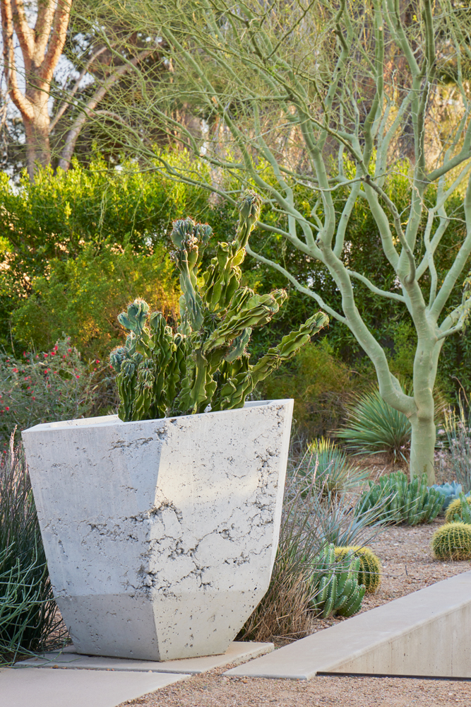 TRUEFORM Landscape Architects include native desert plants in concrete planters.