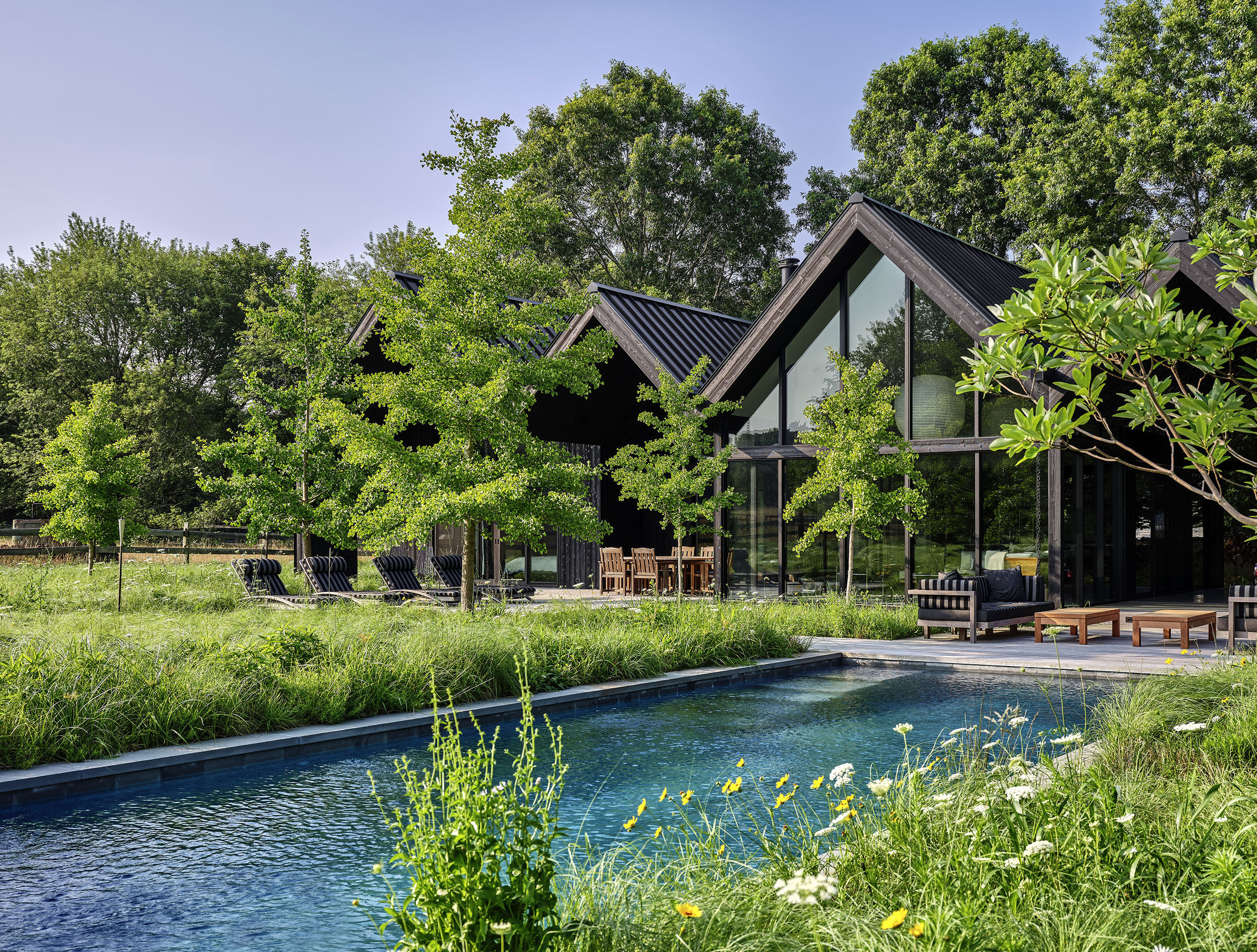 Workshop/APD Clads Contemporary East Hampton Home in Shou Sugi Ban and meadow-like gardens with swimming pool