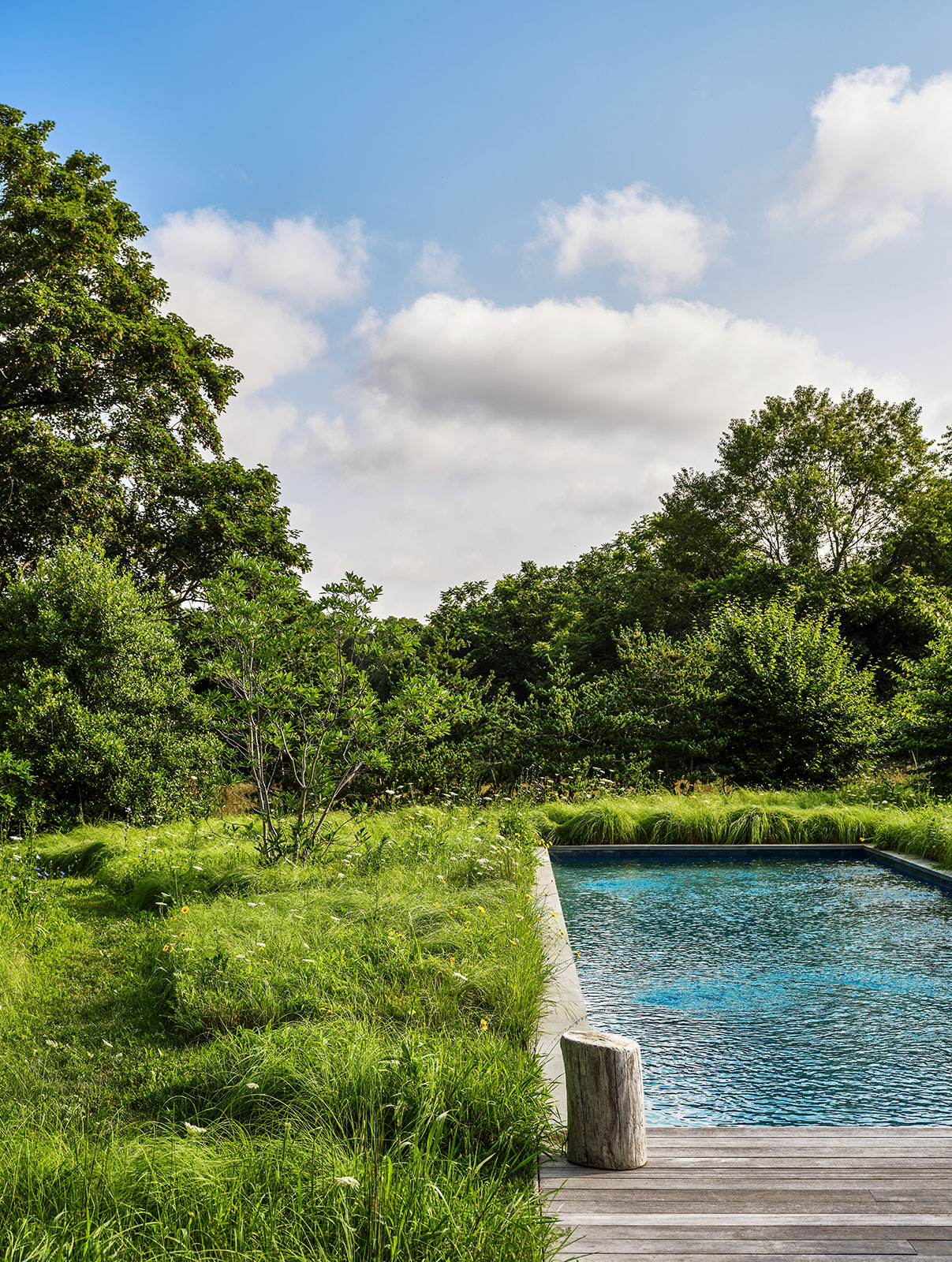 Farm Landscape Design creates meadow-like landscape around in-ground swimming pool