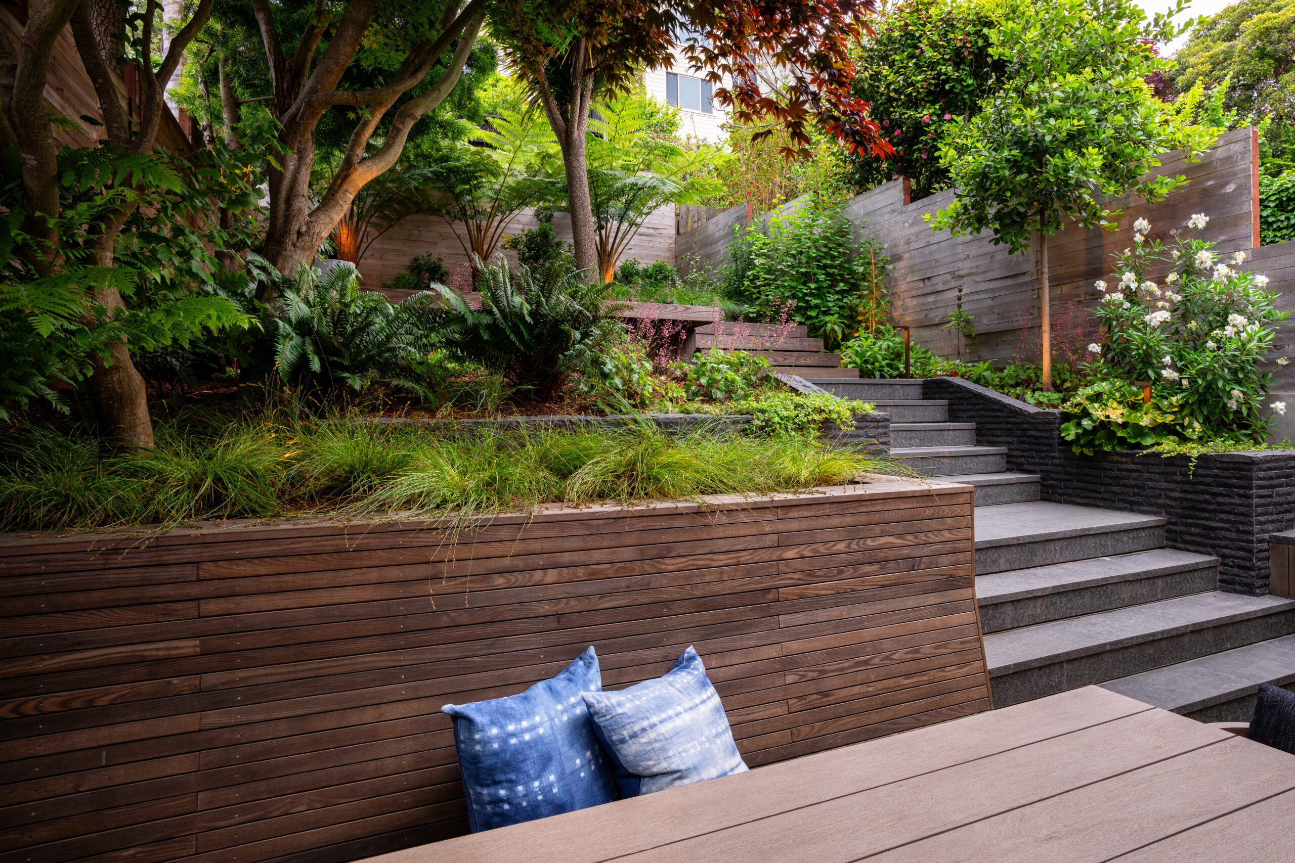 Seed Studio designs backyard landscape in San Francisco