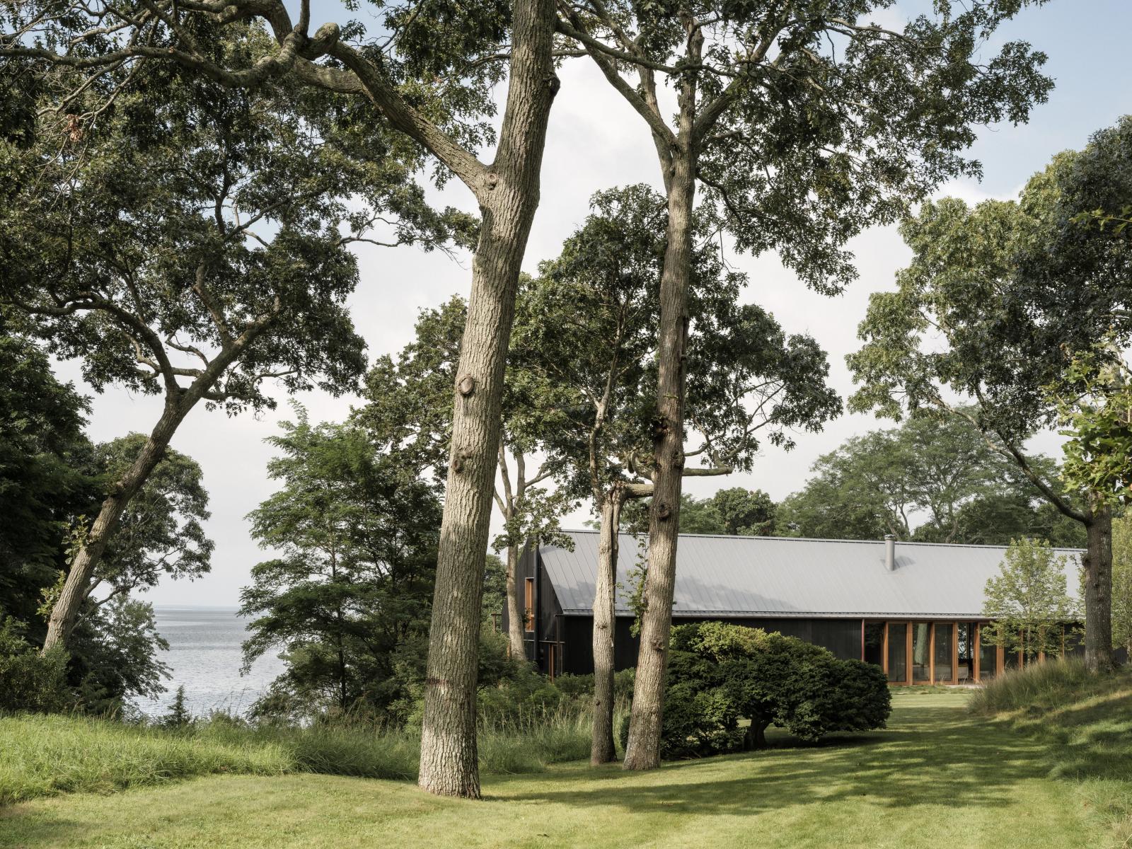 Lake Flato Designs a Cabin to Recede in the Landscape