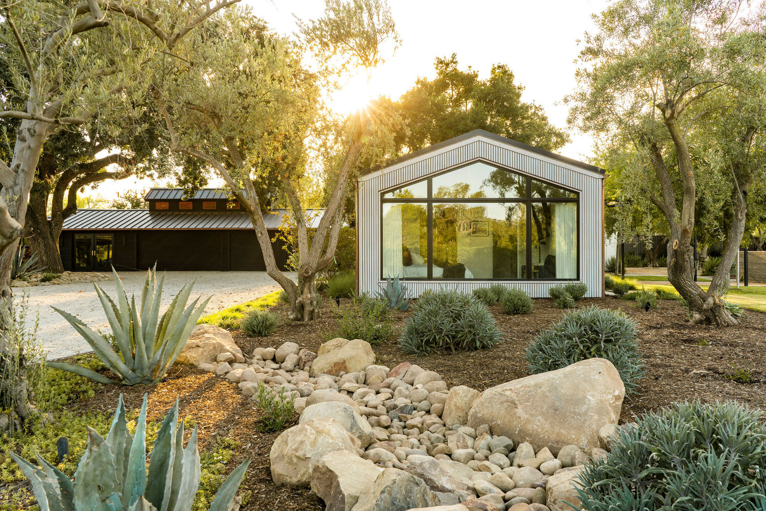 Bosky Landscape Architecture Uses Dry Gardens to Create Textured Landscape