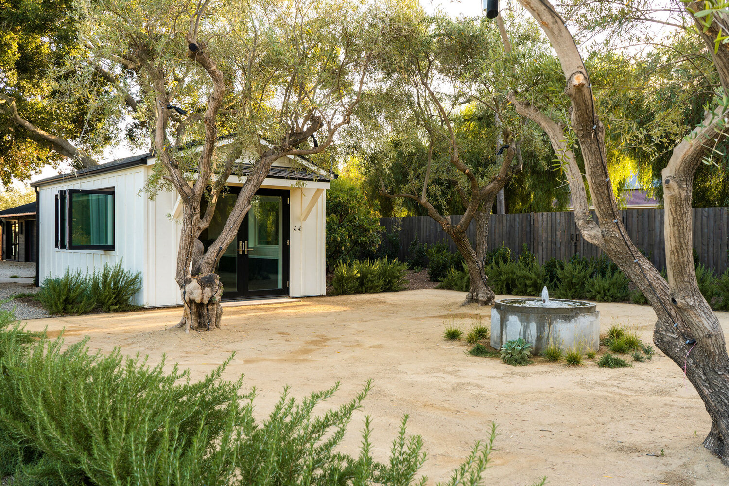 bosky landscape architecture creates gravel filled courtyard with olive trees