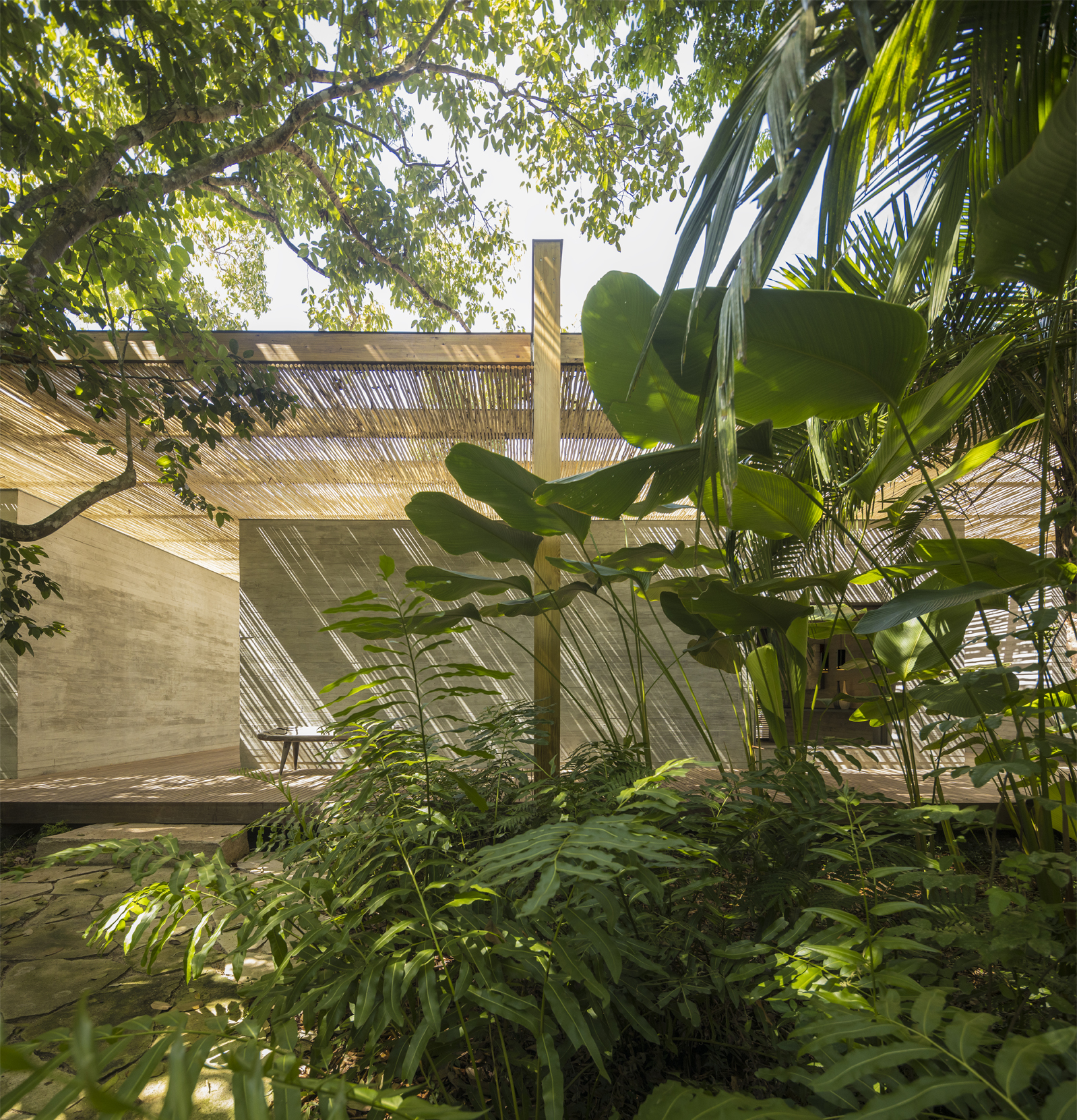 isabel duprat, landscape architect, creates lush tropical landscape