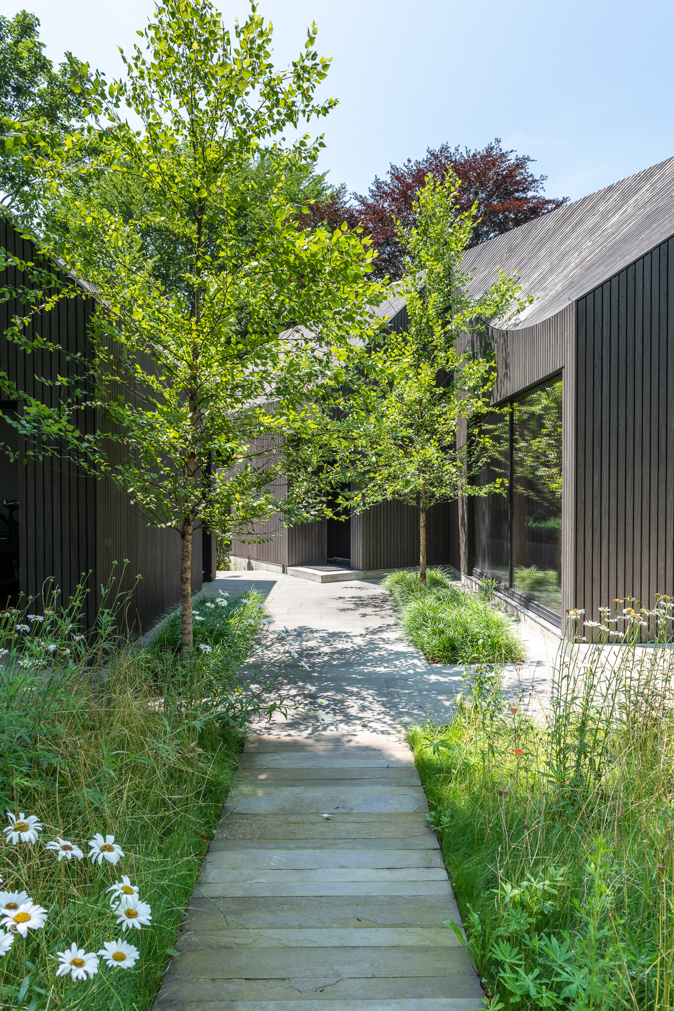 Between structures, Coen and Partners proposed a network of bluestone paving as a natural surface for walking paths.