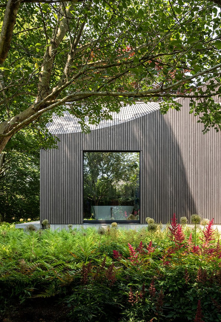 Cladded in dark-colored wood designed by Young Projects, a large window opens to a shaded gardens with finely textured plants.
