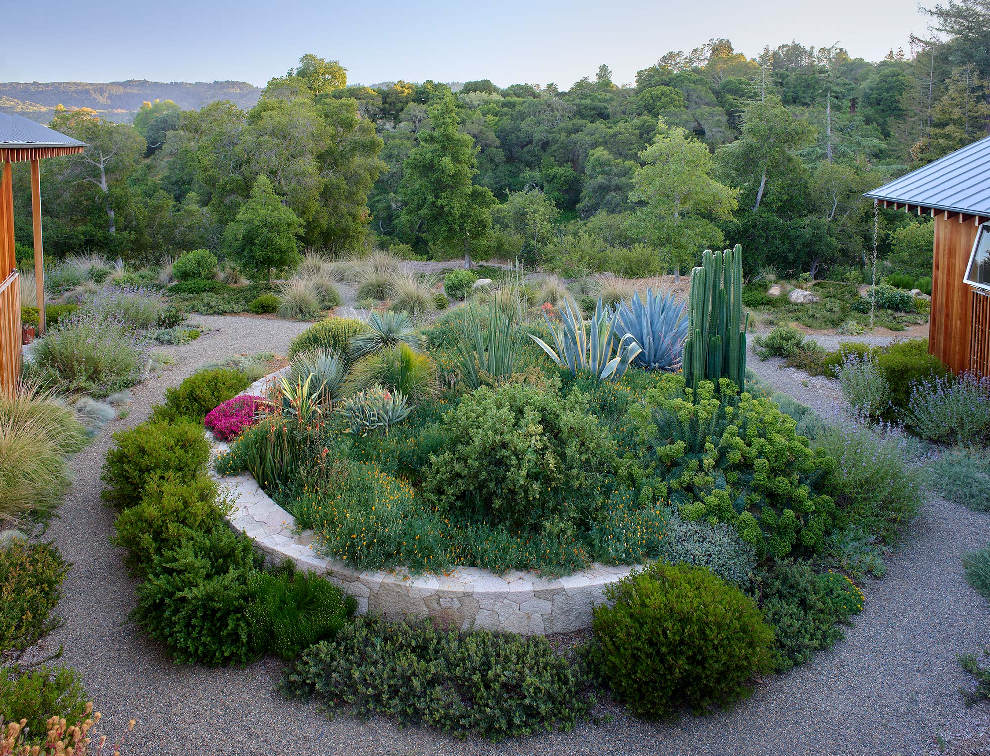Sculptural plants such as cacti and succulents make up with stone retaining wall as a focal feature between two structured centrally located in a courtyard.